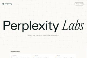 Perplexity Labs